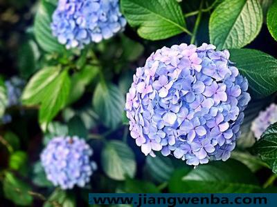 子宫内膜癌有什么症状 子宫内膜癌化疗痛苦吗
