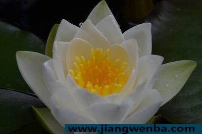 宝宝发烧哆嗦怎么回事 宝宝发烧怎么办如何降发烧怎么判断有哪些症状